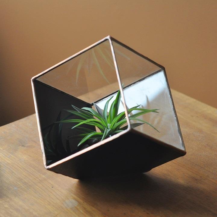 ABJ Glassworks - cube terrarium