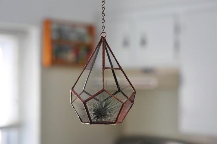 ABJ Glassworks - hanging terrarium