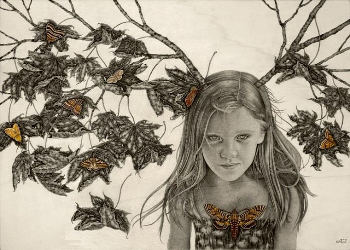 Alessia Iannetti - a tree portrait