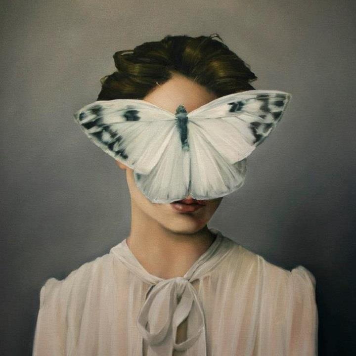 Amy Judd - butterfly