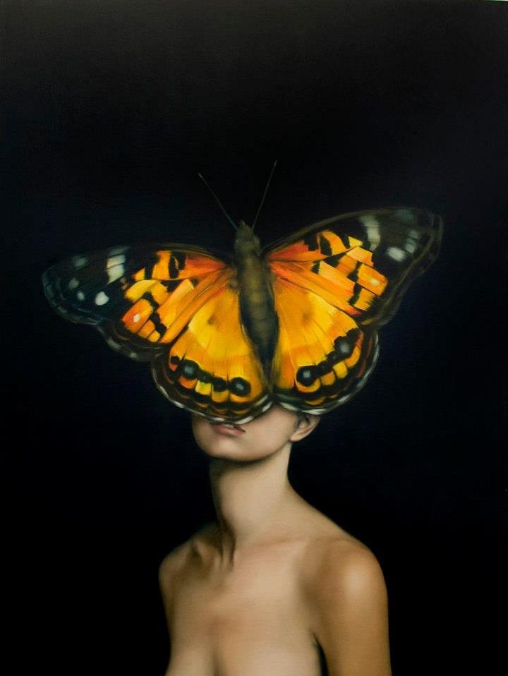Amy Judd - orange butterfly