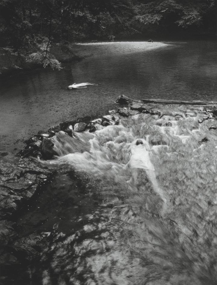 Anne Arden McDonald - in the river