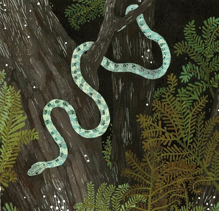 Becca Stadtlander - tree snake