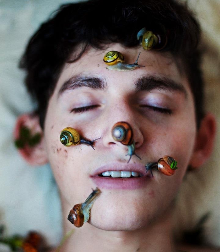 Ben Zank - snails