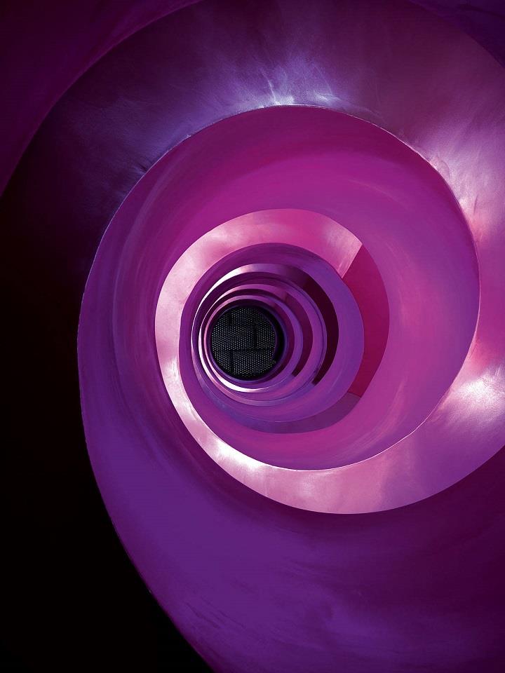 Benjamin Antony Monn - candela purple
