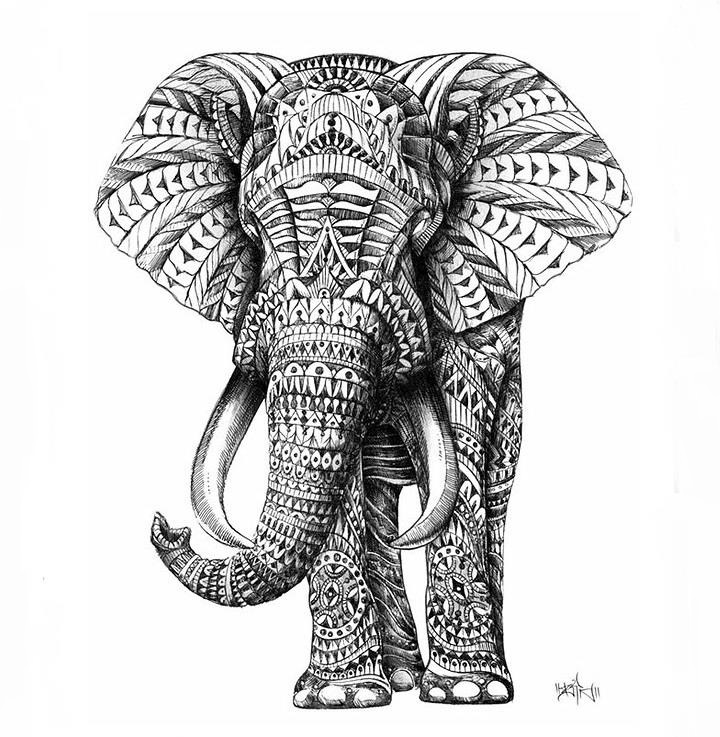 BioWorkZ - ornate elephant