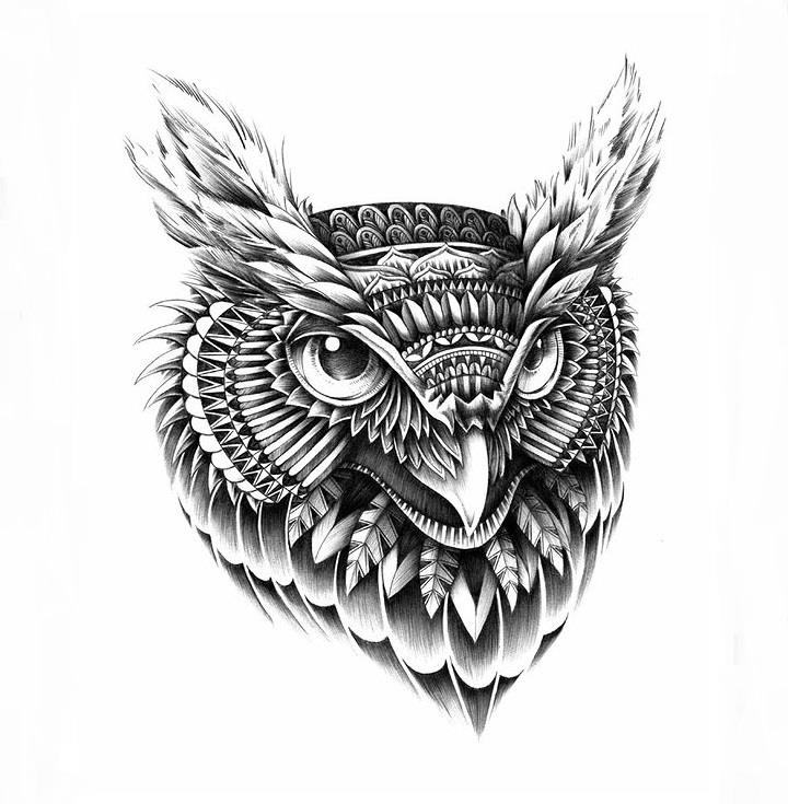 BioWorkZ - ornate owl head