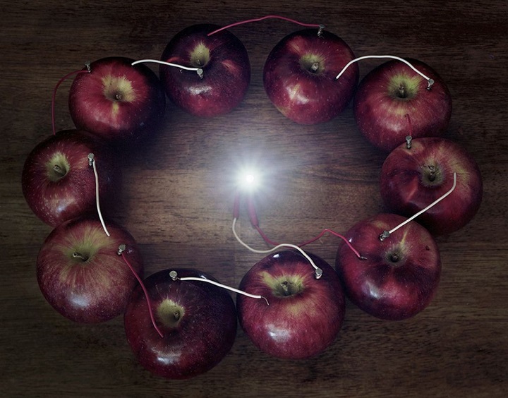 Caleb Charland - apples