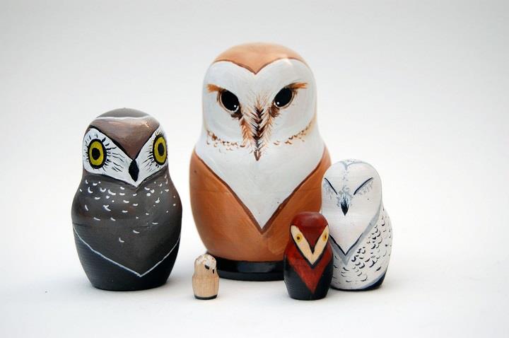 Caleigh Ill - owl family