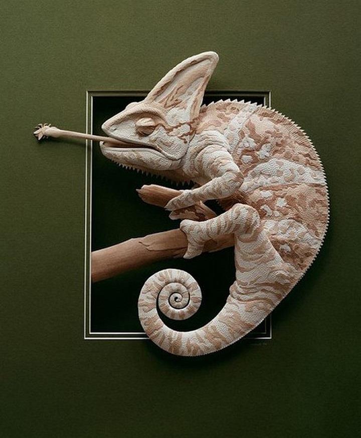 Calvin Nicholls - chameleon