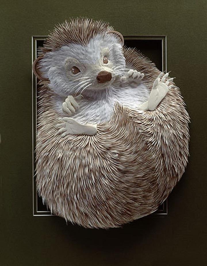 Calvin Nicholls - hedgehog
