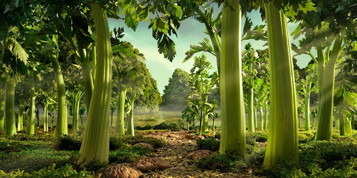 Carl Warner - Celery Forest