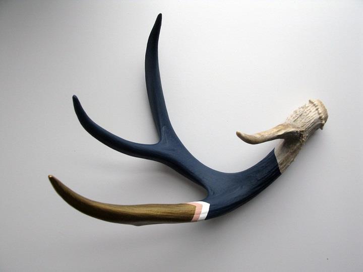 Cassandra Smith - painted antlers