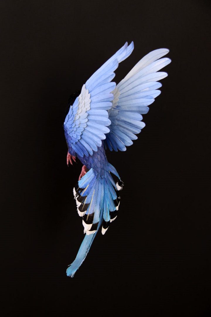 Diana Beltran Herrera - blue bird paper sculpture