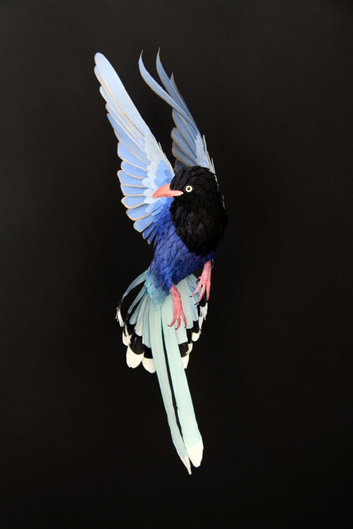 Diana Beltran Herrera - blue bird