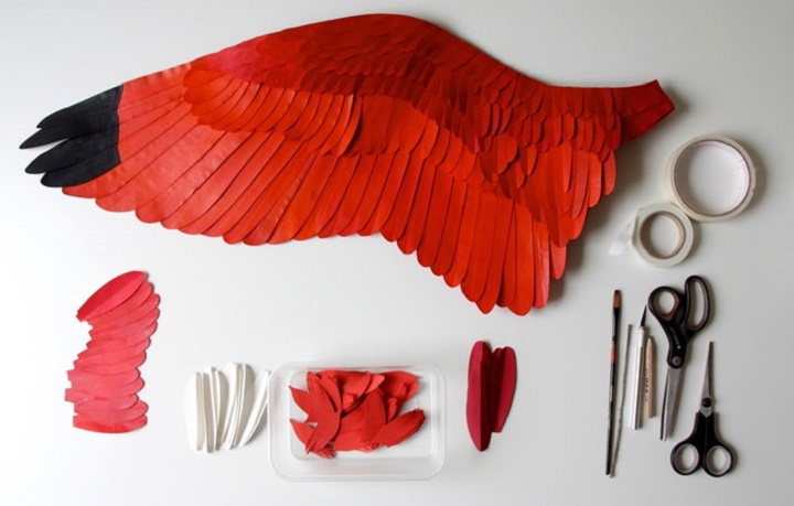 Diana Beltran Herrera - red bird wing