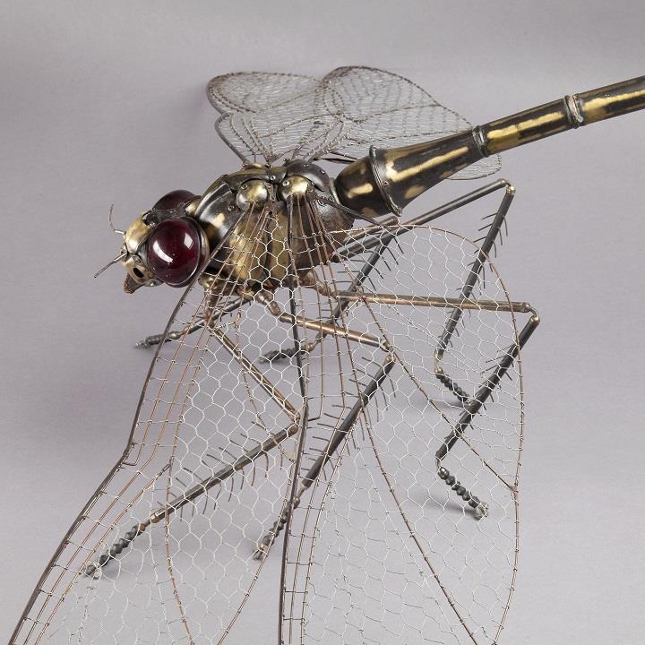 Edouard Martinet - dragonfly
