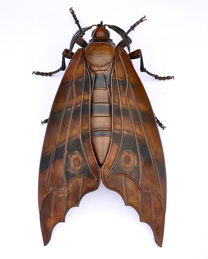 Edouard Martinet - moth sculpture