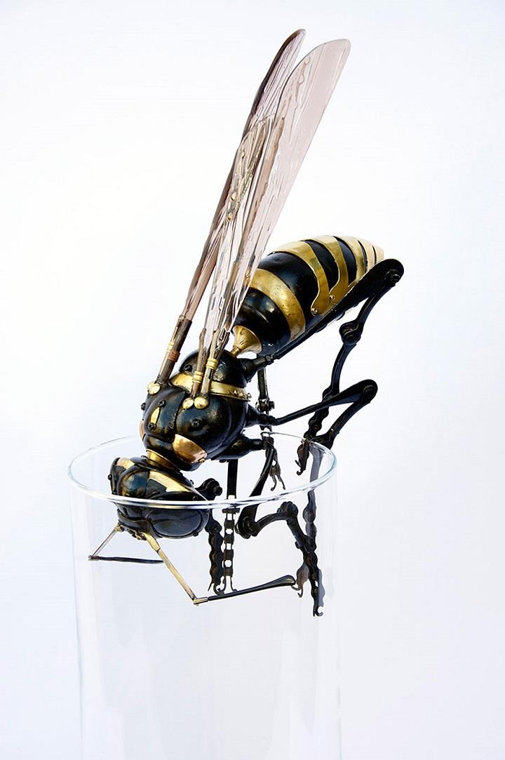 Edouard Martinet - wasp