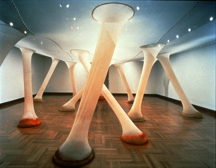 Ernesto Neto - installation