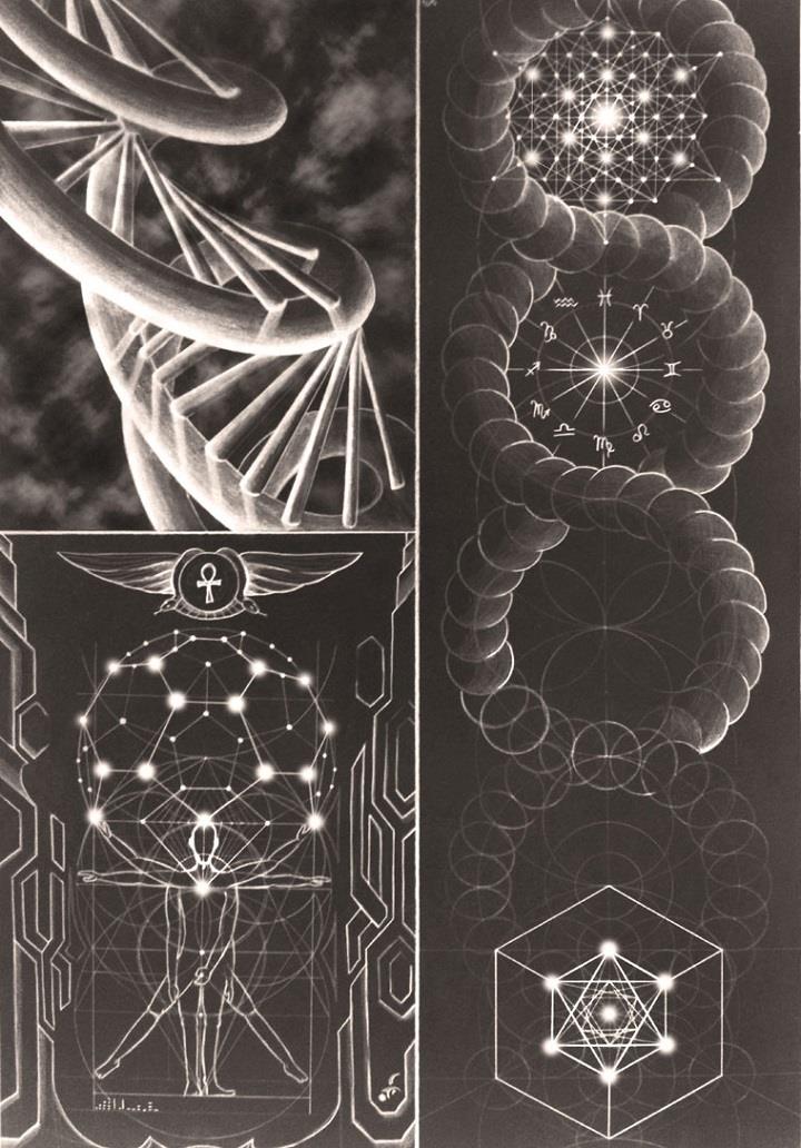 Ffransis J. Morgan - DNA template