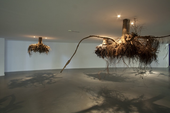 Giuseppe Licari - a root installation