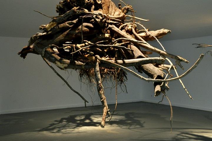 Giuseppe Licari - roots from ceiling
