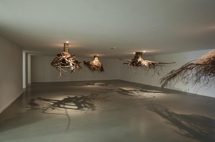 Giuseppe Licari - trees from ceiling