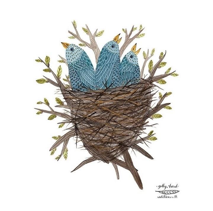 Golly Bard - nest