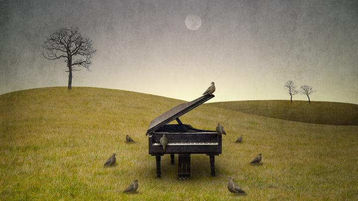 Greg Noblin - Piano