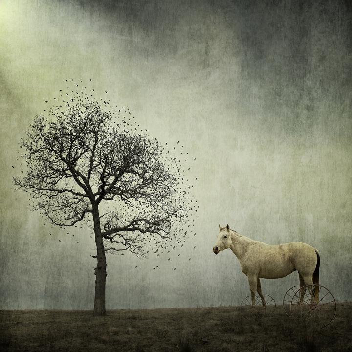 Greg Noblin - horse and tree