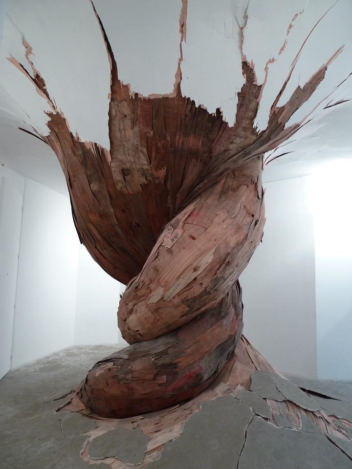 Henrique Oliveira - tree root