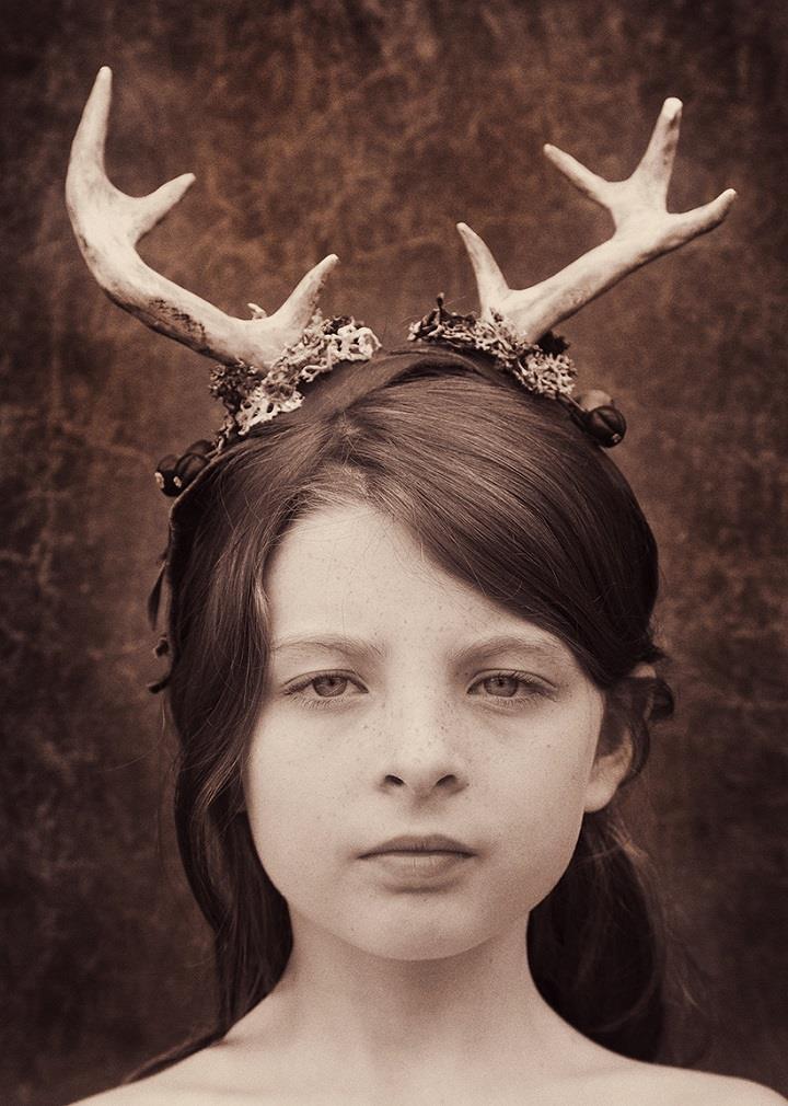 Holly Wilmeth - deer