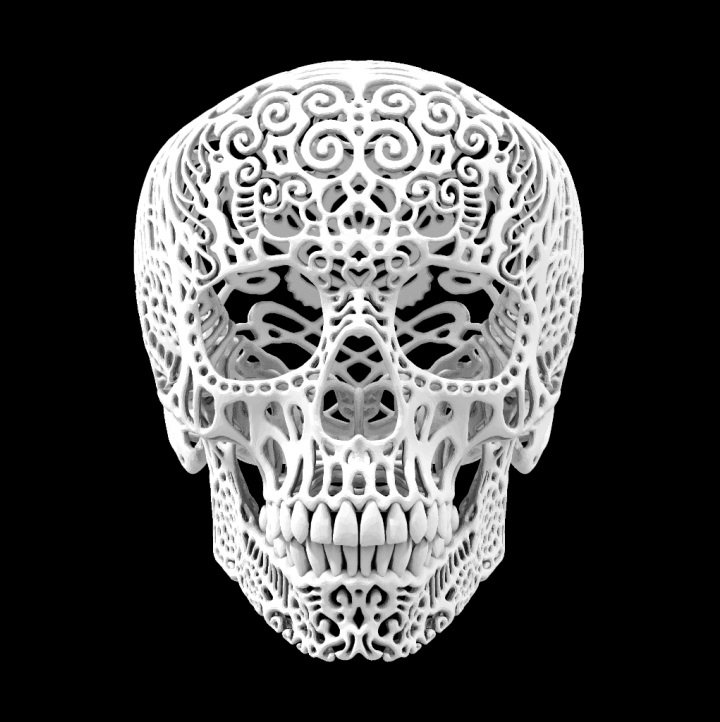 Joshua Harker - a white skull