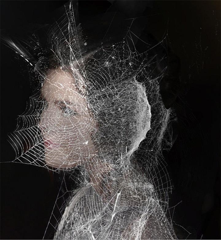 Joshua Hibbert - spiderweb