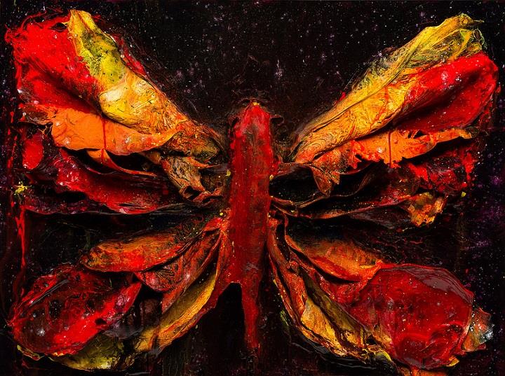 Justin Gaffrey - red butterfly