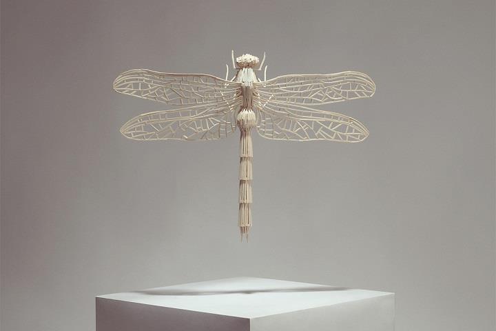 Kyle Bean - stick dragonfly
