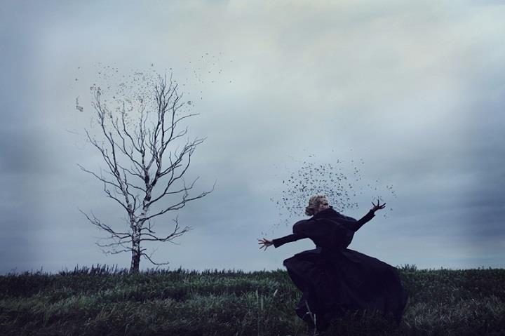 Kylli Sparre - tree and birds