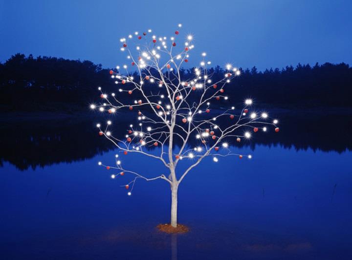Lee Jeong-lok - lighting tree