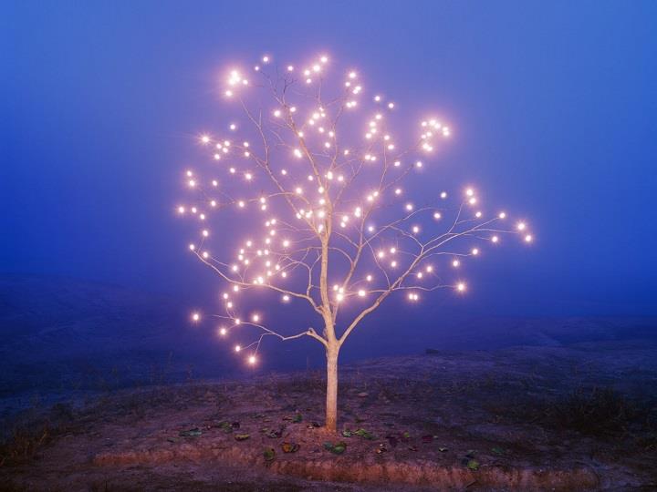 Lee Jeong-lok - tree of life