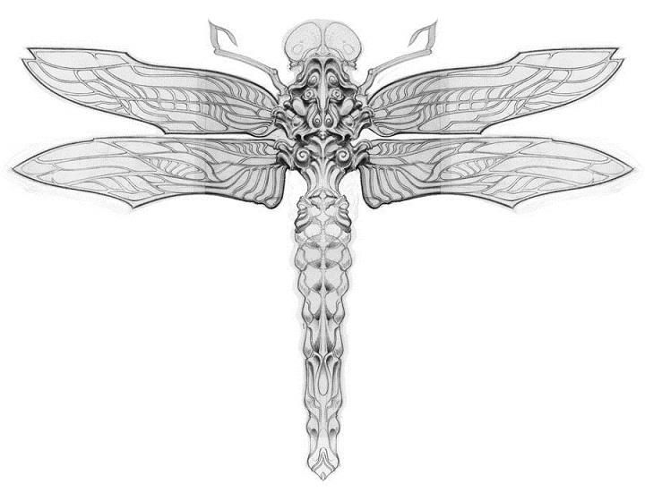 Matthew Vigeland - dragonfly