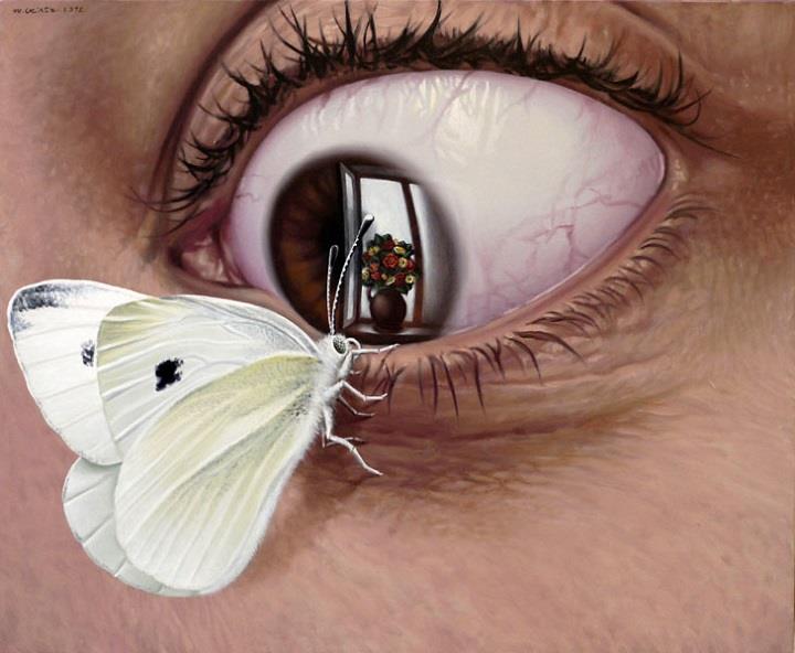 Mihai Criste - butterfly eye