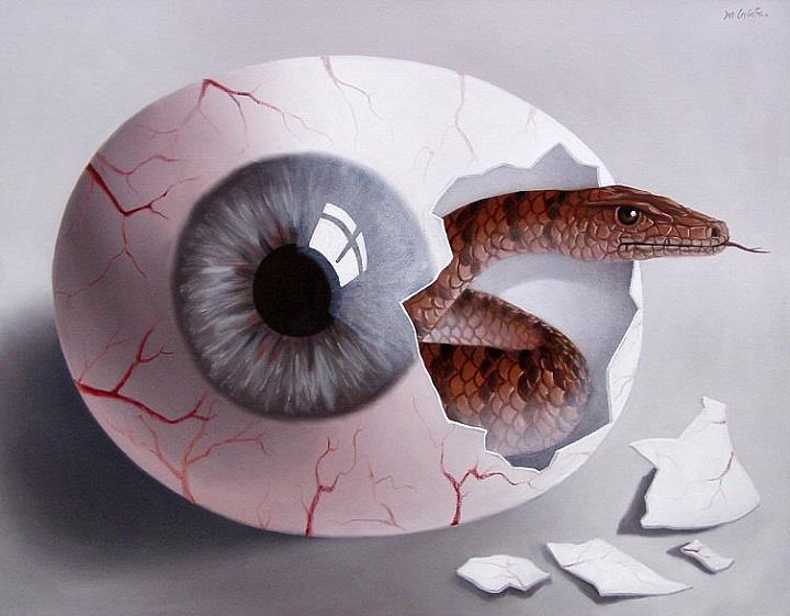Mihai Criste - eye and snake