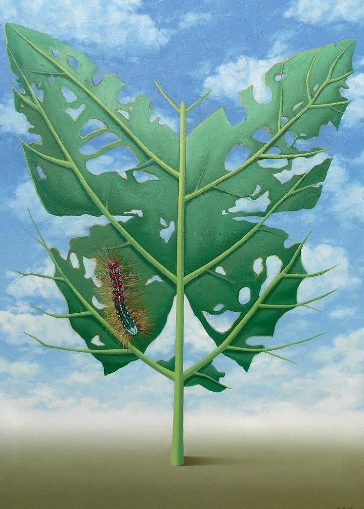 Mihai Criste - leaf