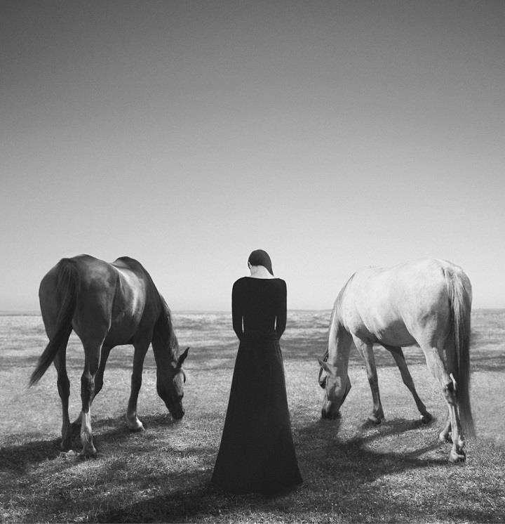 Noell Oszvald - horses