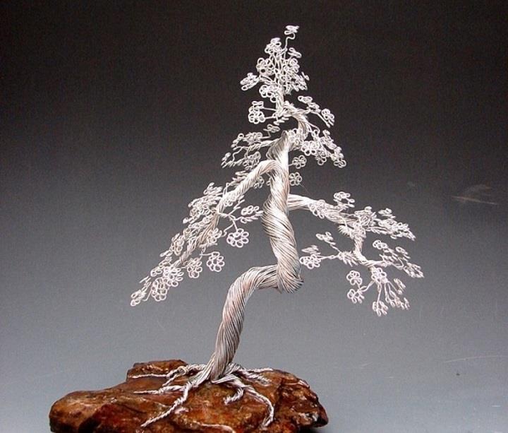 Omer Huremovic - a bonsai tree