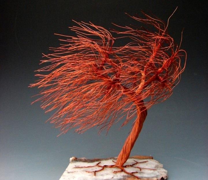 Omer Huremovic - windswept tree