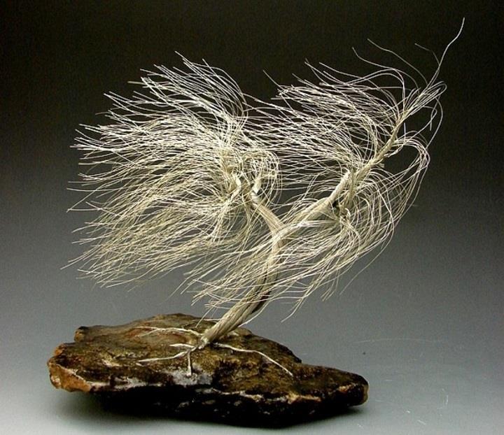 Omer Huremovic - windswept wire tree