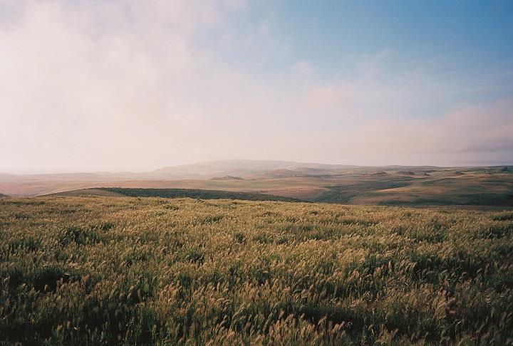 Rachel Duffy - beautiful landscape