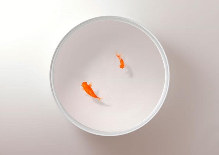 Ramón Úbeda and Otto Canalda - Swimming Goldfish Inhabit Tables
